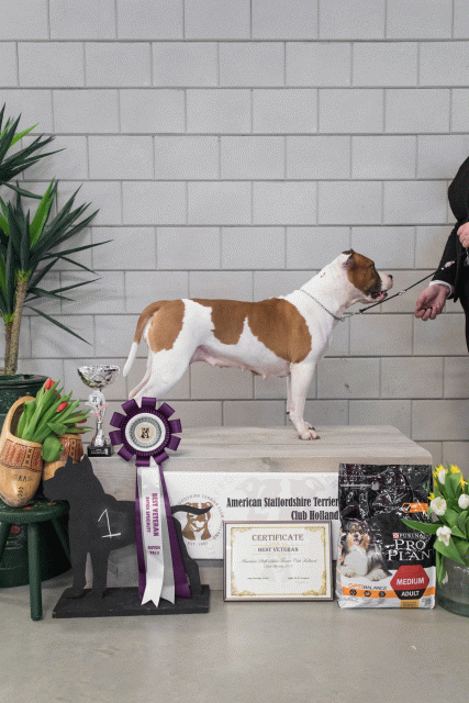 36A6366 23865619787 O