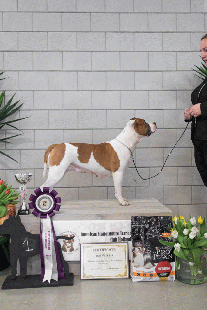 36A6367Small 26954746159 O