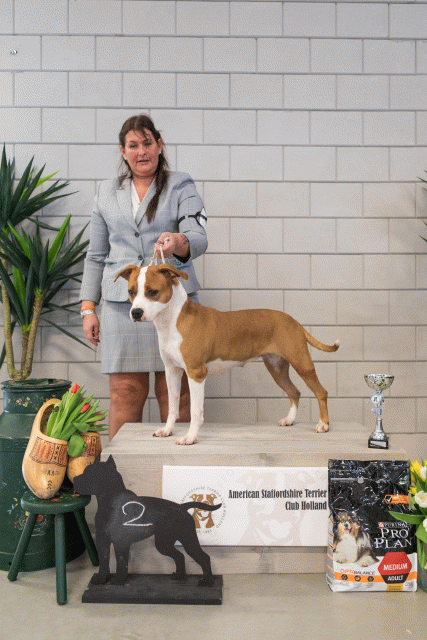 36A6364 26954747689 O