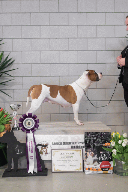 36A6372 26954744209 O