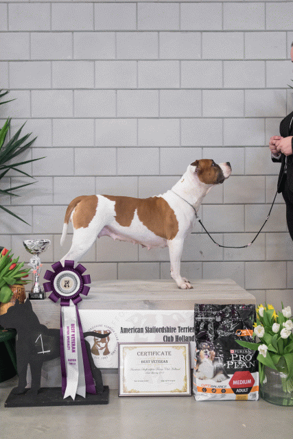 36A6374 26954742929 O