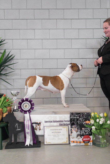 36A6370 26954745269 O