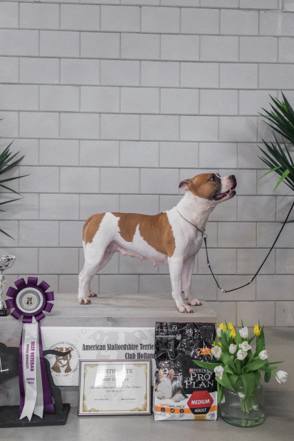 36A6376 26954742119 O