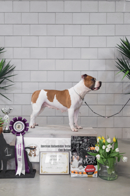 36A6377 26954741569 O