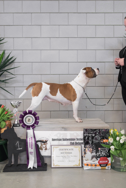 36A6375 26954742579 O