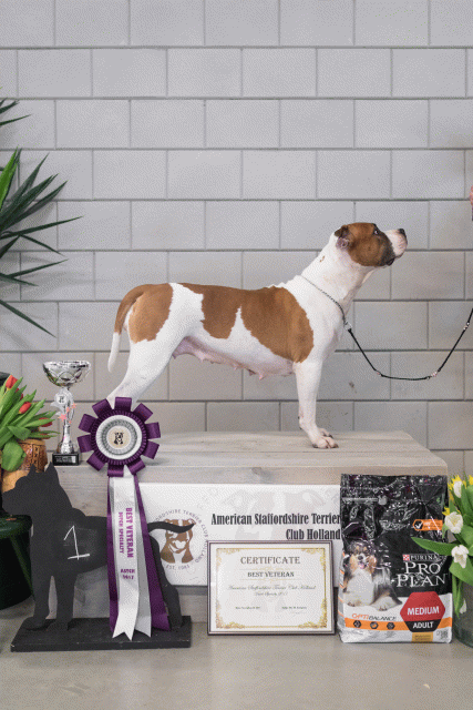 36A6373 23865618347 O