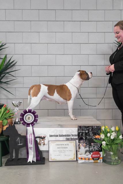 36A6371 23865618837 O