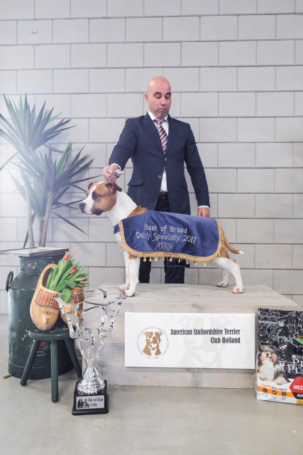 36A6387 23865615687 O