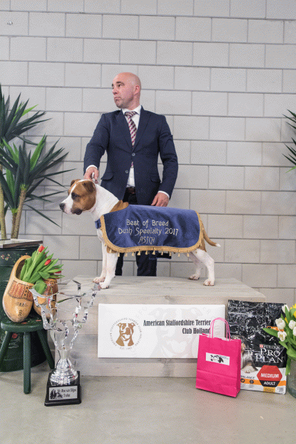 36A6388 38730650111 O