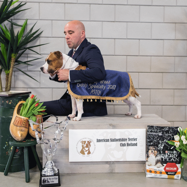 36A6389 23865614357 O