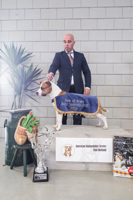 36A6385 37843021405 O