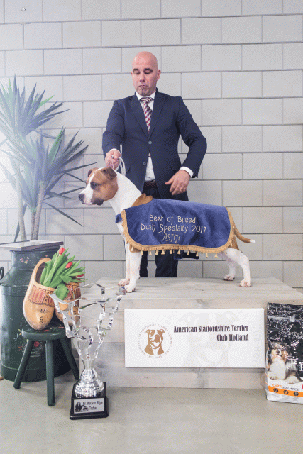 36A6383 23865616967 O