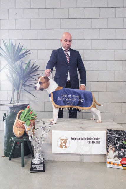 36A6384 23865616397 O