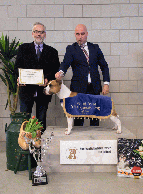 36A6395 38730645971 O