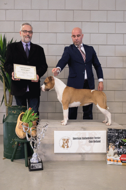 36A6400 38698463172 O