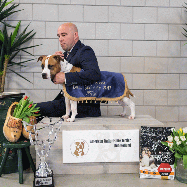 36A6390 38730648731 O