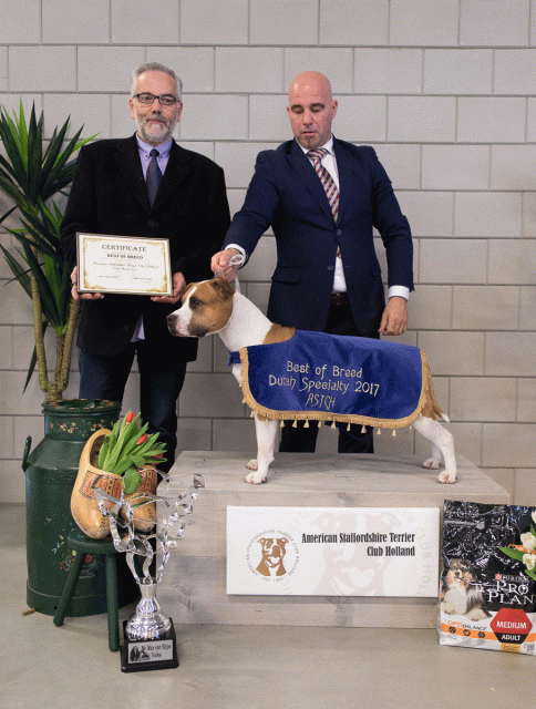 36A6394Small 37843015655 O