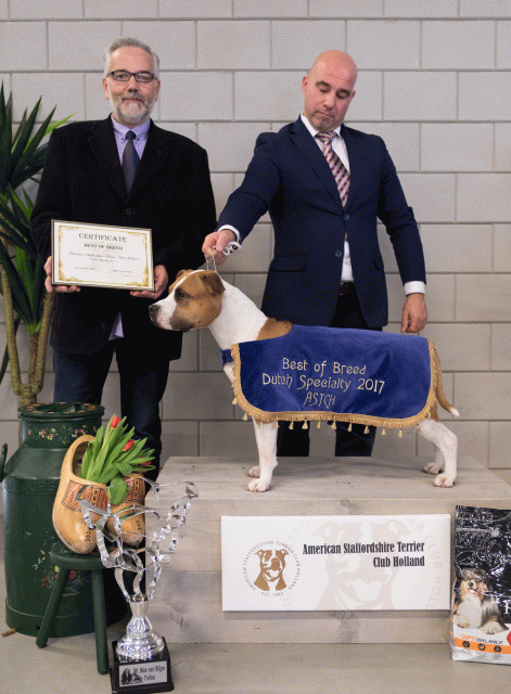 36A6399 38730643741 O