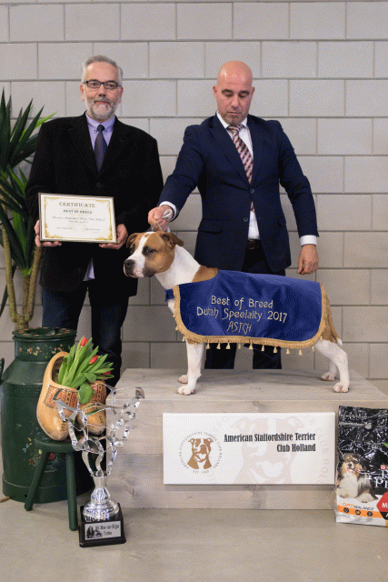 36A6397 37843013535 O