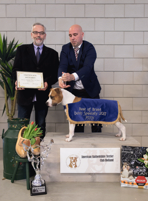 36A6392 23865613927 O