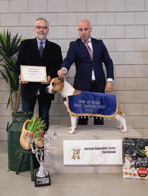 36A6394 23865613237 O