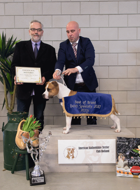 36A6393 38730647971 O