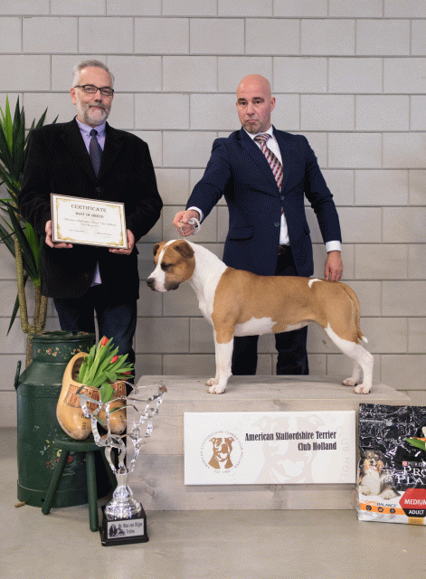 36A6405 38730799481 O