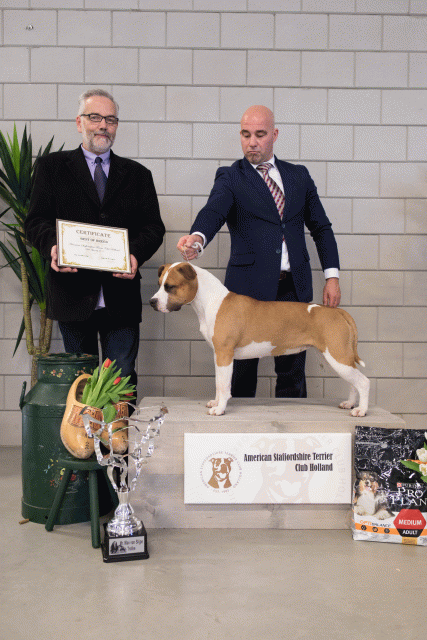 36A6404 38698460982 O