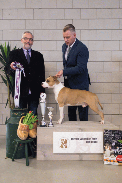 36A6407 23865721557 O