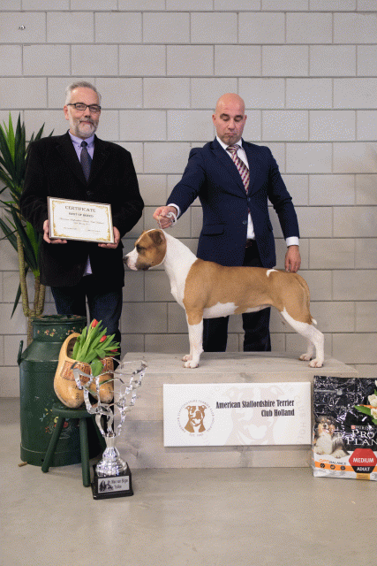 36A6402 38698462132 O