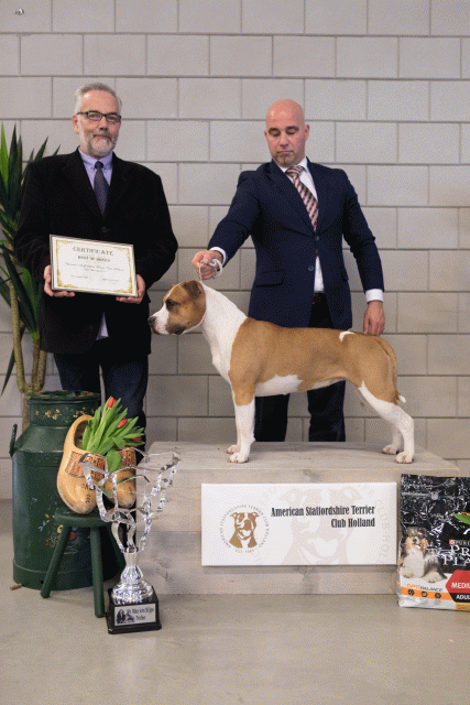 36A6401 38730642631 O