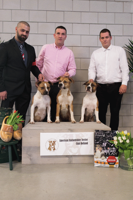 36A6413 38013584264 O