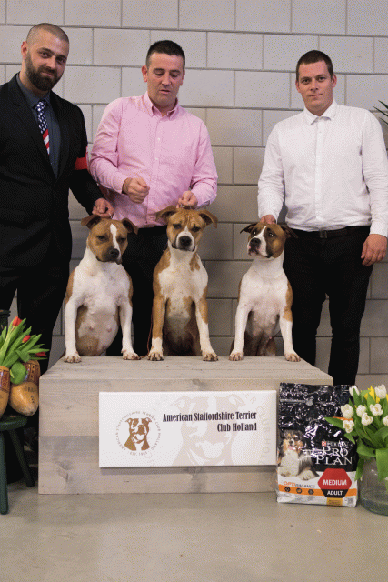 36A6412 38730795551 O