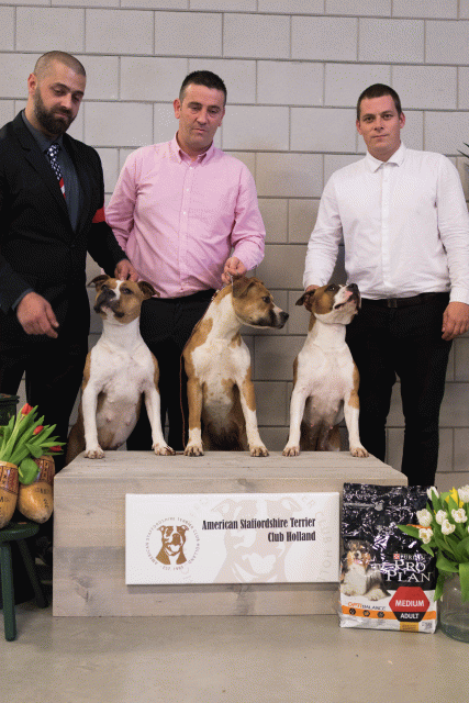 36A6411 38013585214 O