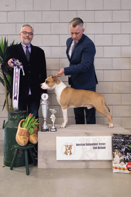 36A6410 38730796811 O