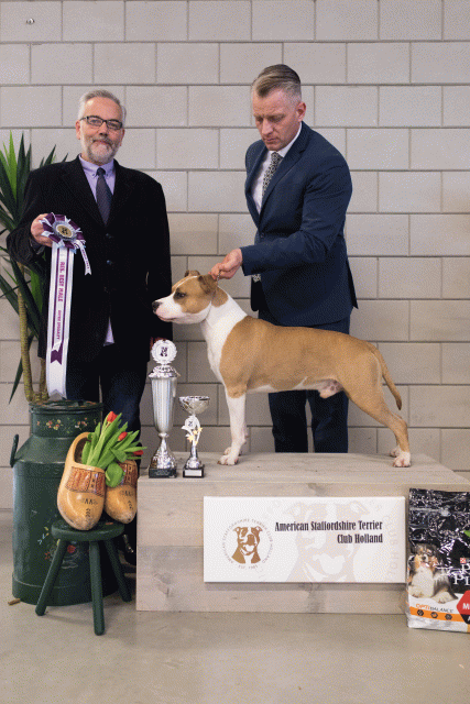 36A6408 38730798111 O