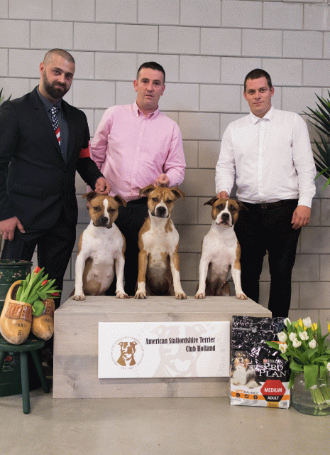 36A6415 38013584044 O