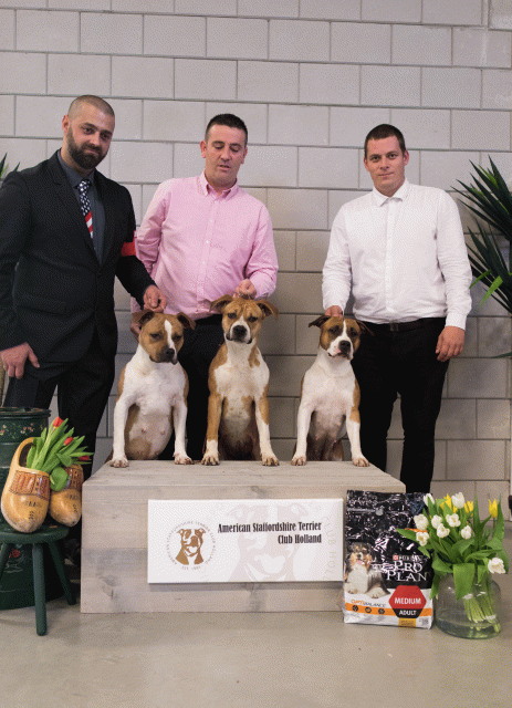 36A6414 24857735948 O