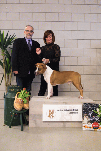 36A6424 24857734548 O