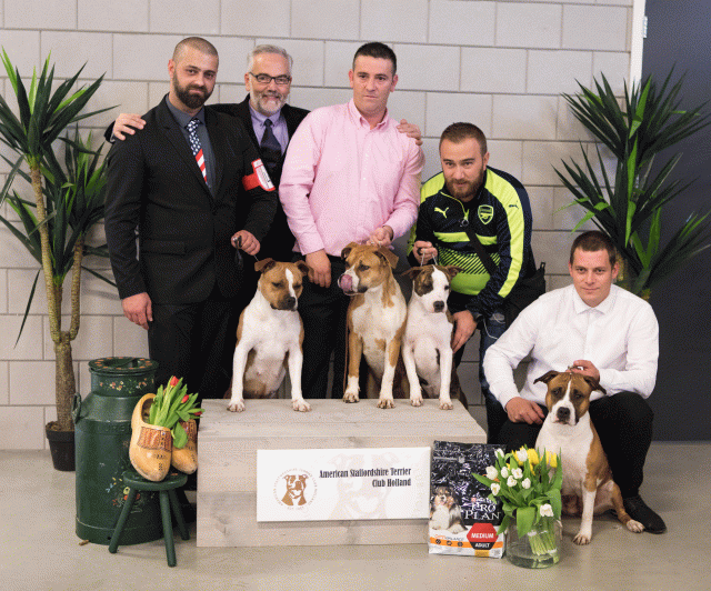 36A6421 38013583714 O