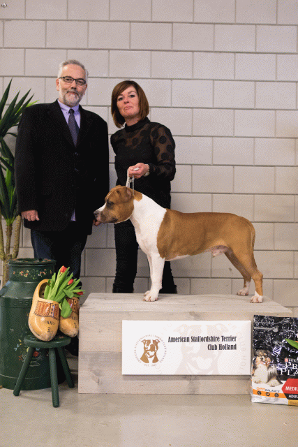 36A6429 24857732808 O