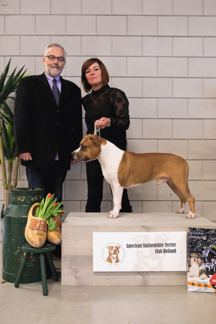 36A6430 38013582394 O