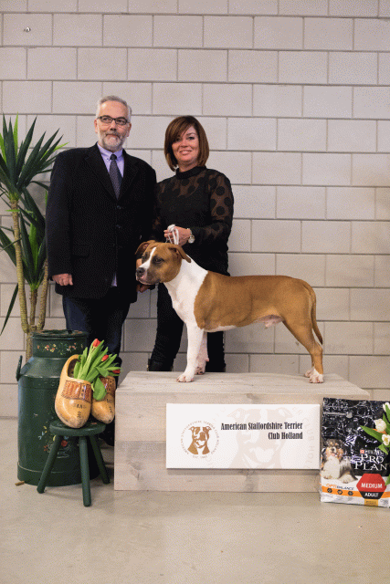 36A6425 38013583384 O