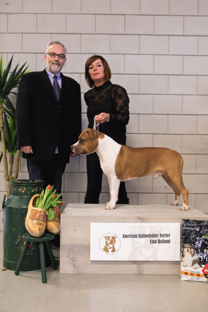 36A6428 38013582874 O