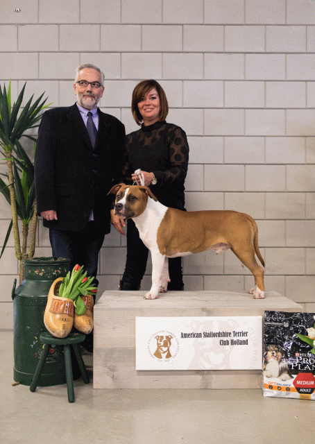 36A6426 24857733618 O