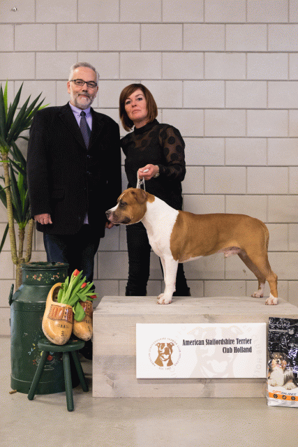 36A6431 38730788171 O