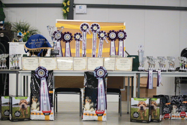 O4I2999 38730787621 O