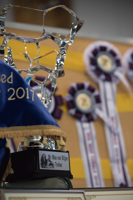 O4I3003 26954836939 O