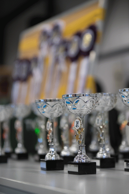 O4I3002 24857728478 O