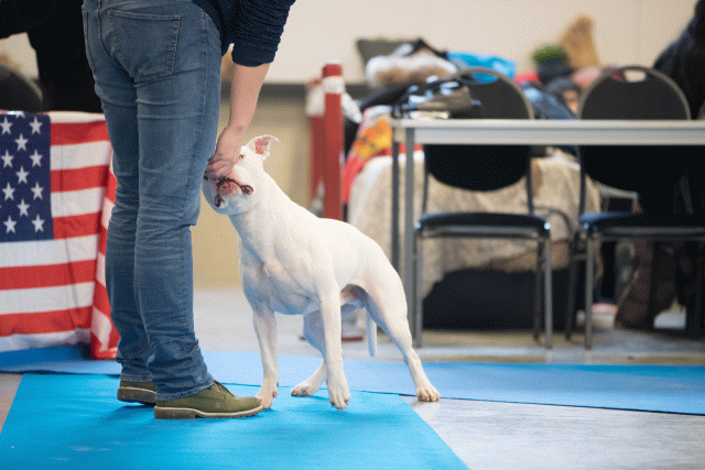 O4I3009 23865712497 O